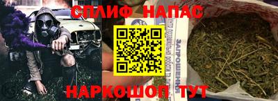 СК Обнинск