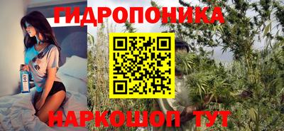 СК Обнинск
