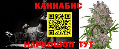 дмт Обь