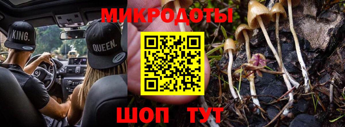 НБОМе Торжок