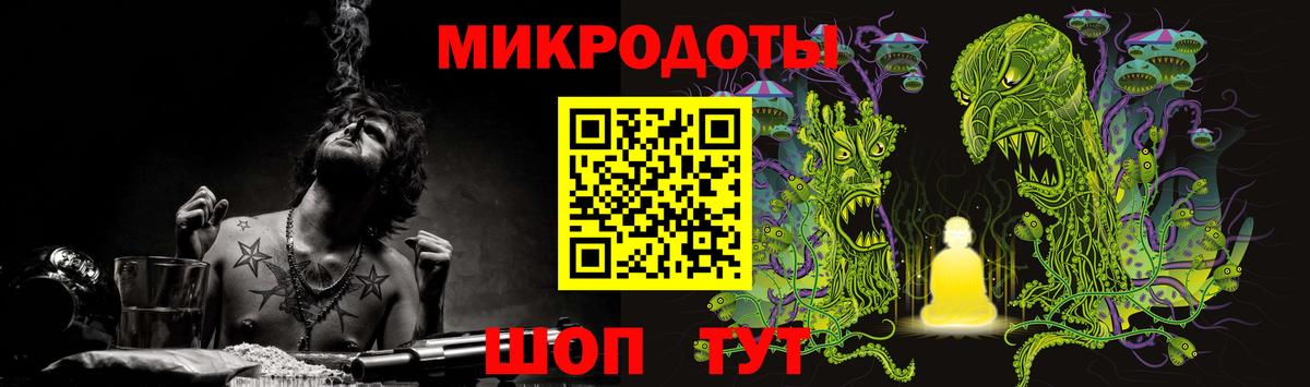 Галлюциногенные грибы Psilocybine cubensis Торжок