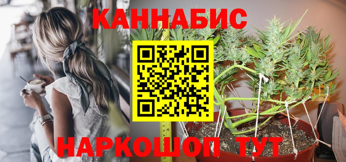 Бошки марихуана White Widow Торжок